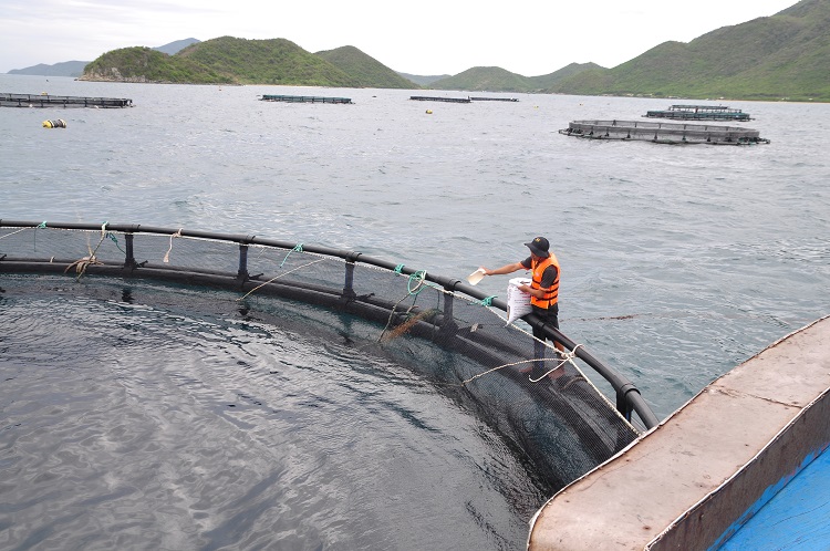 ‘There are diversified myths surrounding fish farming’: How aquaculture is leveraging tech for an economically and environmentally intellectual future