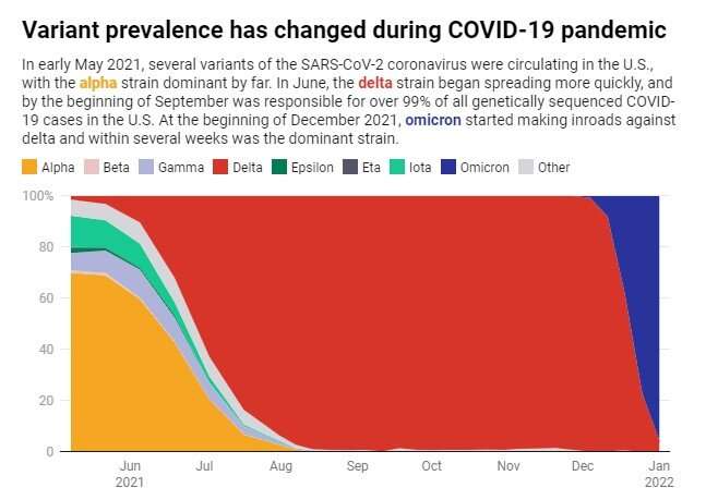 From delta to omicron, here's how scientists know which coronavirus variants are circulating in the US